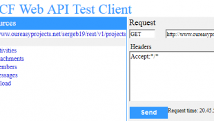 RESTful API
