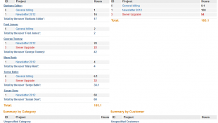 Summary Report