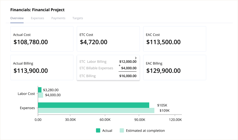 project finances report image