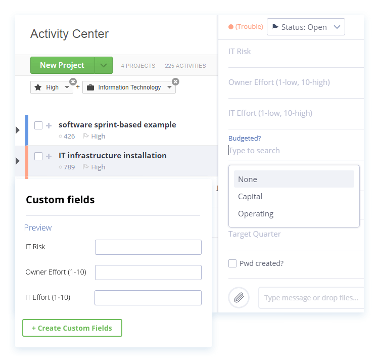 Portfolio Custom Fields