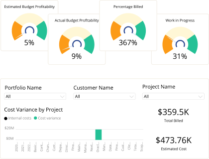 project financial performance report example