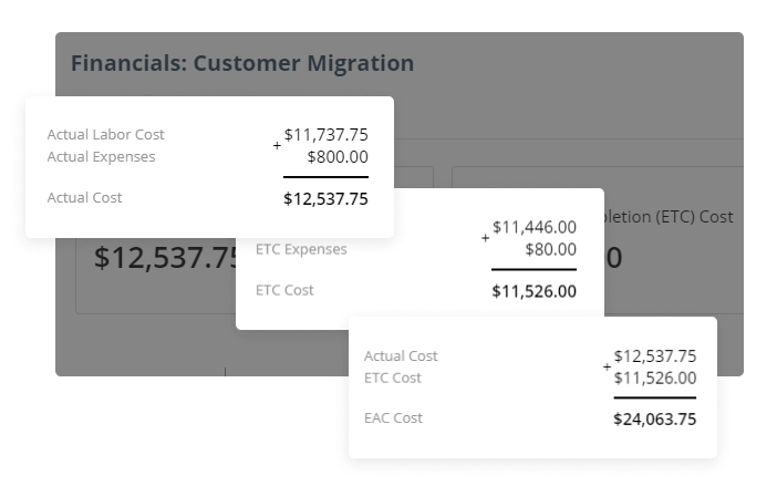 Budget, Cost & Revenue - Easy Projects - Projects Management Software